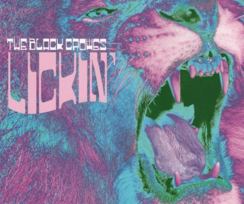 The Black Crowes : Lickin'